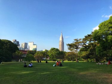 都会のオアシス 明治神宮の芝生で美しい午後のひとときを。